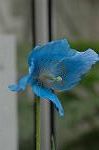 Dcim6034/DSC_0024