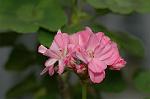 Dcim6034/DSC_0031
