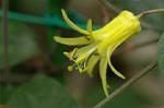 Dcim6034/DSC_0041