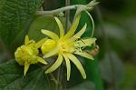 Dcim6034/DSC_0045