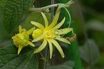 Dcim6034/DSC_0054