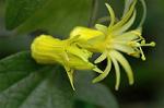 Dcim6034/DSC_0057