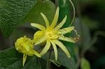 Dcim6034/DSC_0117