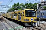 Dcim6035/DSC_7135