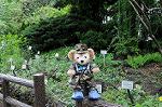 Dcim6037/DSC_7402