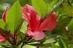Dcim6040/DSC_0158
