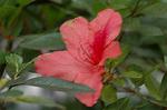 Dcim6040/DSC_0162