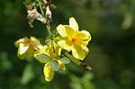 Dcim6040/DSC_0170