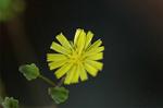 Dcim6040/DSC_0191