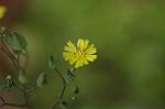 Dcim6040/DSC_0197