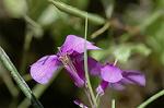 Dcim6040/DSC_0213