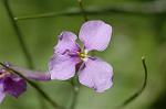 Dcim6040/DSC_0214