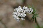 Dcim6040/DSC_0231