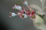 Dcim6040/DSC_0262