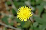 Dcim6041/DSC_0288