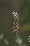 Dcim6041/DSC_0292