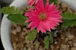 Dcim6041/DSC_0294