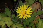Dcim6041/DSC_0308