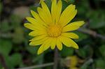 Dcim6041/DSC_0309