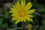 Dcim6041/DSC_0310