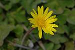 Dcim6041/DSC_0312