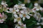 Dcim6041/DSC_0314