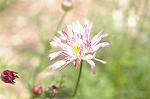 Dcim6041/DSC_0356