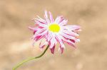 Dcim6041/DSC_0358