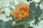 Dcim6041/DSC_0379