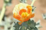 Dcim6041/DSC_0381