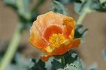 Dcim6041/DSC_0382