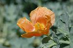 Dcim6042/DSC_0386