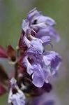 Dcim6042/DSC_0388