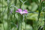 Dcim6042/DSC_0397