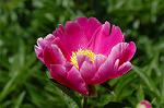 Dcim6042/DSC_0398