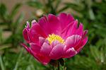 Dcim6042/DSC_0399