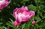 Dcim6042/DSC_0400