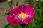 Dcim6042/DSC_0403