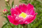 Dcim6042/DSC_0405