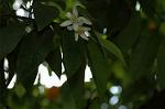 Dcim6043/DSC_0542