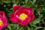 Dcim6043/DSC_0602