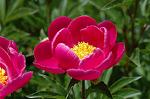 Dcim6043/DSC_0603