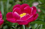 Dcim6043/DSC_0604