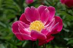 Dcim6043/DSC_0608