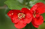 Dcim6044/DSC_0628