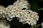Dcim6046/DSC_0945
