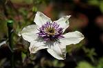 Dcim6048/DSC_7791