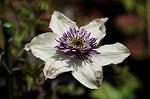 Dcim6048/DSC_7792