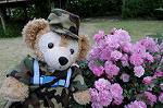 Dcim6049/DSC_8017