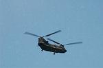 Dcim6051/DSC_1231